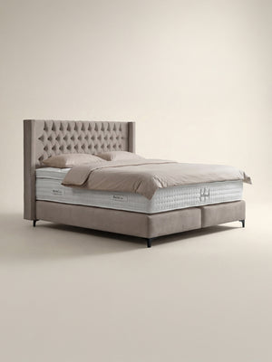 Velours Boxspringbett Taupe FLORIDA