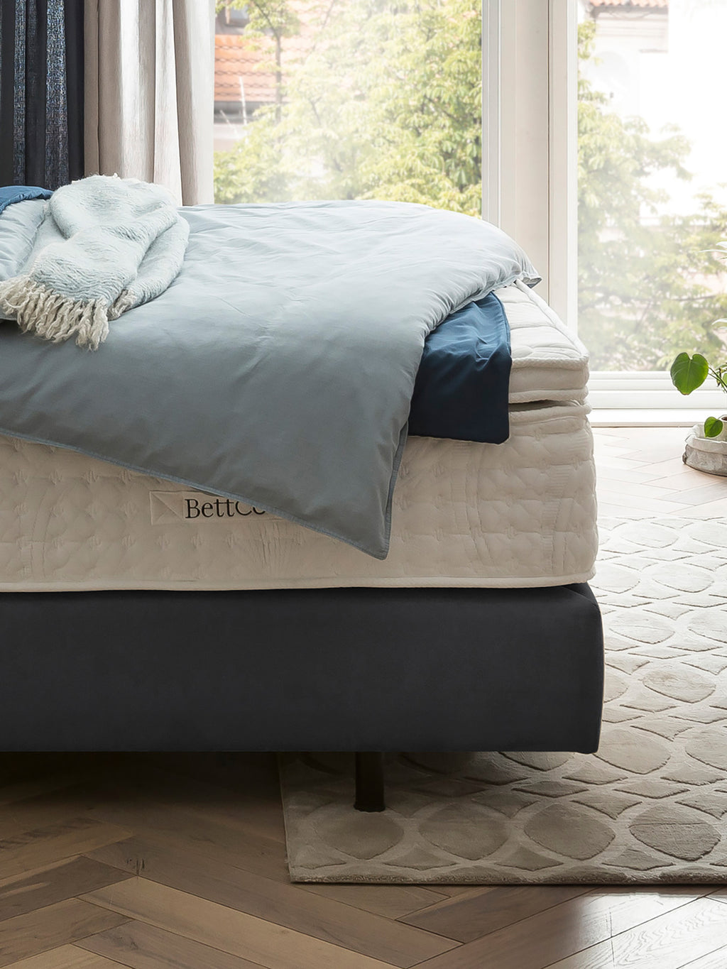 Samt Boxspringbett Dunkelgrau LISBON