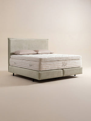 Samt Boxspringbett Creme LONDON