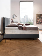 Samt Boxspringbett Dunkelgrau LONDON