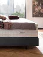 Samt Boxspringbett Dunkelgrau LONDON