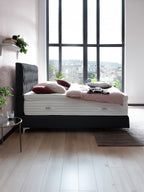 Velours Boxspringbett Schwarz LYON