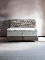 Velours Boxspringbett Taupe LYON