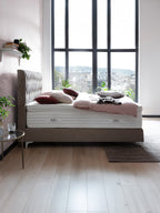 Velours Boxspringbett Taupe LYON