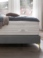 Samt Boxspringbett Grau MAISON