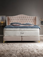 Samt Boxspringbett Rose MAISON