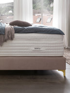 Samt Boxspringbett Rose MAISON