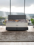 Velours Boxspringbett Dunkelgrau MILANO