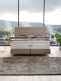 Velours Boxspringbett Taupe MILANO