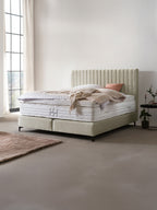 Samt Boxspringbett Creme PARIS