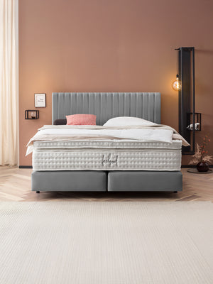 Velours Boxspringbett Grau PARIS