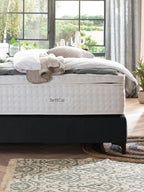 Velours Boxspringbett Schwarz MAISON