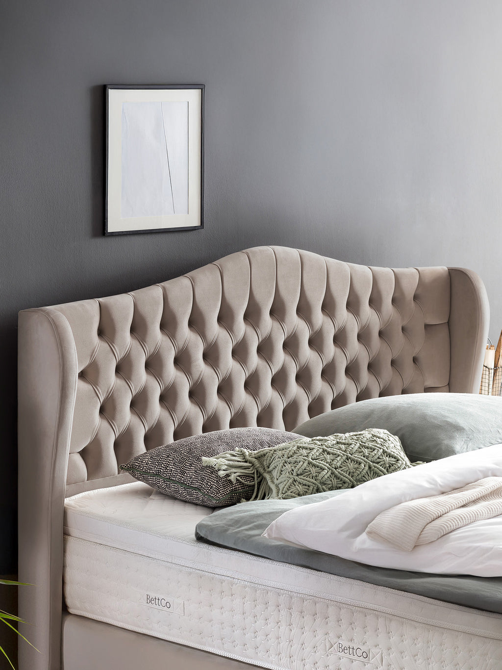 Velours Boxspringbett Taupe MAISON