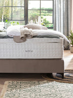 Velours Boxspringbett Taupe MAISON