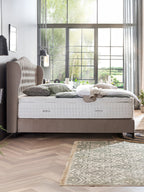 Velours Boxspringbett Taupe MAISON