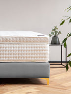 Velours Boxspringbett Grau VALENCIA