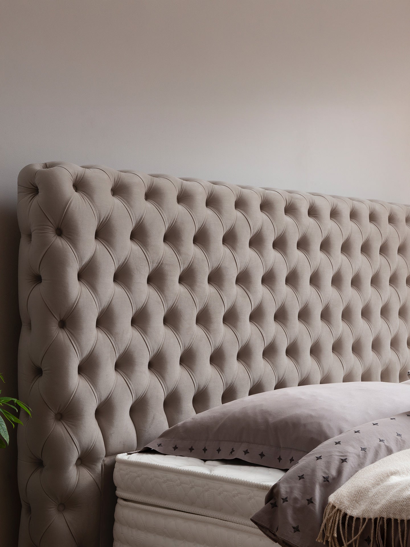 Velours Boxspringbett Taupe VALENCIA