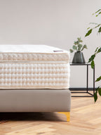 Velours Boxspringbett Taupe VALENCIA